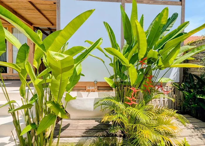 Villa Musa (adults Only) *